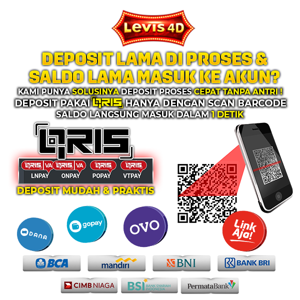 LEVIS4D